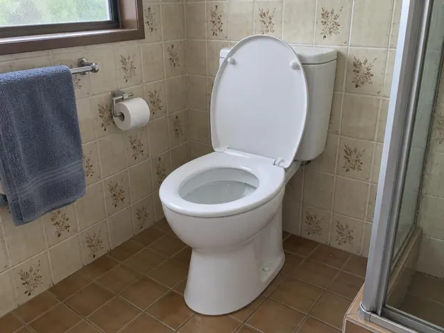 Clean white toilet in a tiled bathroom with towel rail and shower screen in Penrith